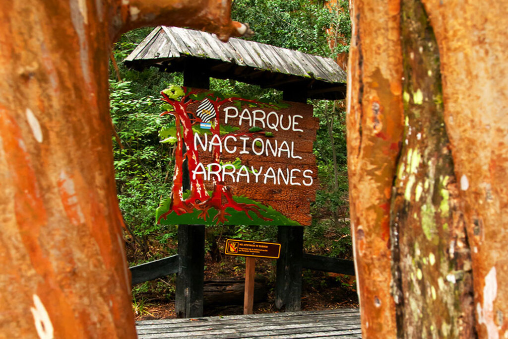 Navegação à Ilha Victoria e Bosque de Arrayanes - Bariloche