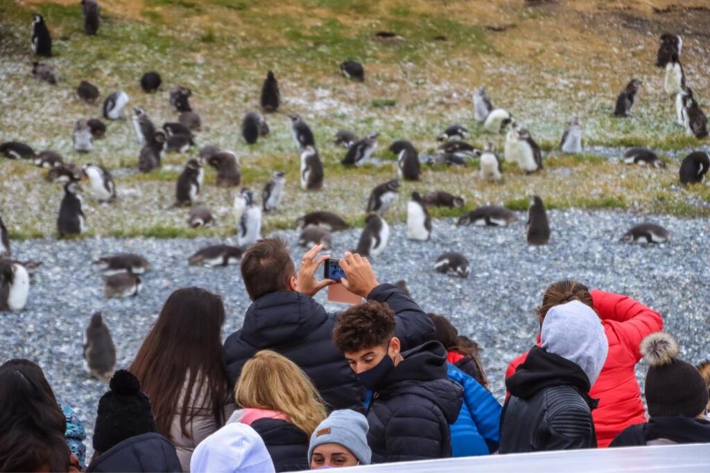 Passeio de barco pelo Canal Beagle com Observação de Pinguins em Ushuaia