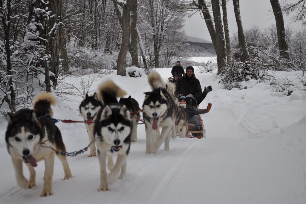 Passeio na neve de snowmobile e trenó com huskies em Ushuaia