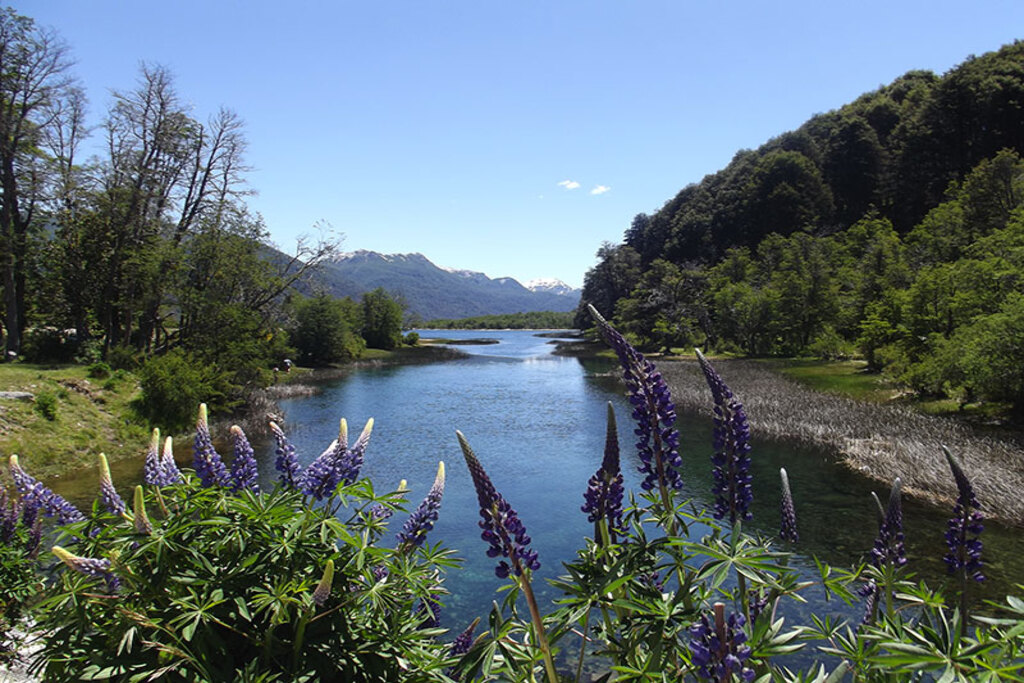 Caminho dos Sete Lagos saindo de Bariloche