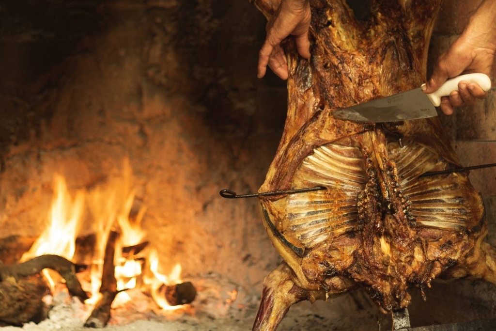 Excursão à Península Valdés e Estancia San Lorenzo saindo de Puerto Madryn